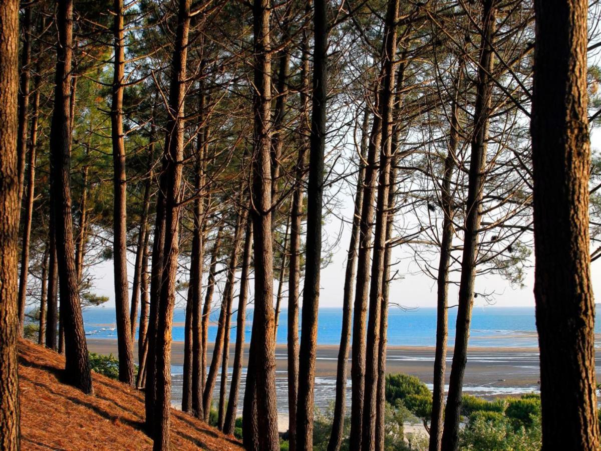 Arcachon Centre : Charmant T2 Avec Loggia, Parking Securise Et Proche Plage - Fr-1-420-61 Bagian luar foto